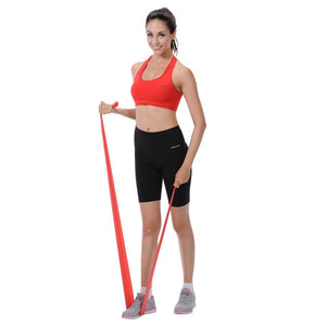 Sunny Health & Fitness Pilates Bands - Barbell Flex