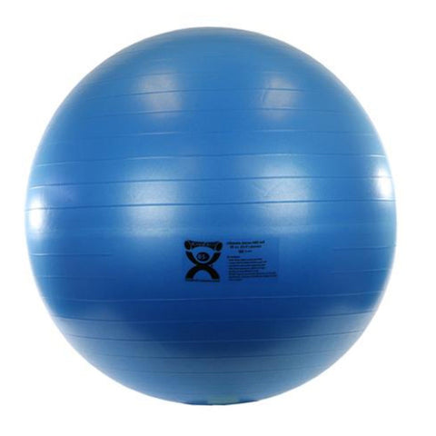 3B Scientific Color-Coded CanDo Deluxe Anti-Burst Exercise Balls – Barbell Flex