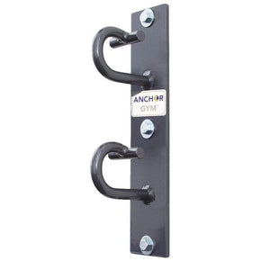Anchor Gym H2 Unit Concrete Wall-Mounted Functional Training Hardware System - Barbell Flex