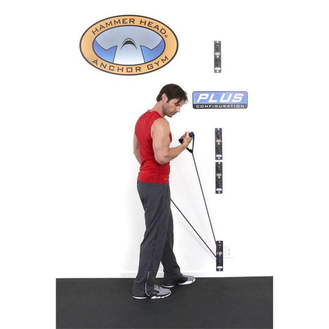 Image of Anchor Gym H2 Unit Concrete Wall-Mounted Functional Training Hardware System - Barbell Flex