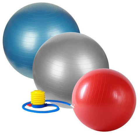 Image of Sunny Health & Fitness Anti-Burst Gym Ball w/ Pump - 55cm - 75cm - Barbell Flex