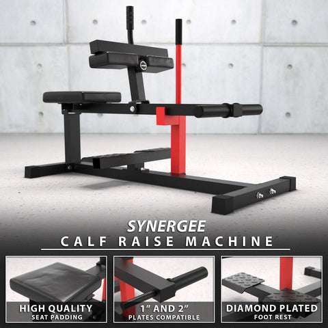Synergee Seated Calf Raise Machine - Barbell Flex