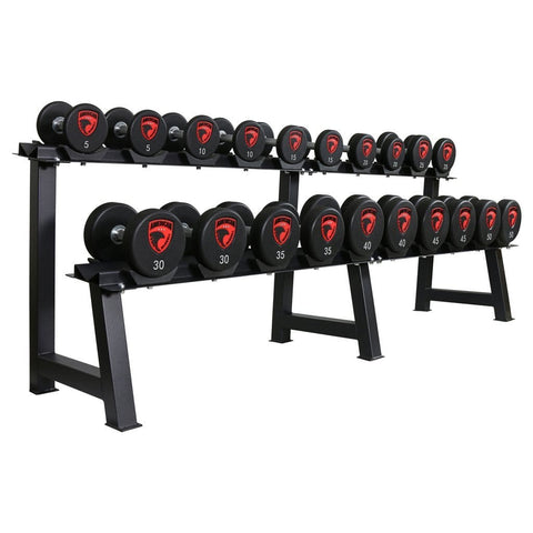 Image of American Barbell Econo 10-Pair Dumbbell Storage Rack - Barbell Flex