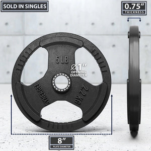 Synergee 1 Inch Cast Iron Weight Plates - Barbell Flex