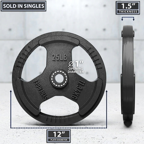 Image of Synergee 1 Inch Cast Iron Weight Plates - Barbell Flex