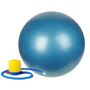 Sunny Health & Fitness Anti-Burst Gym Ball w/ Pump - 55cm - 75cm - Barbell Flex