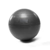 Spinning Resist-A-Ball Silver Exercise Ball - Barbell Flex