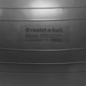 Spinning Resist-A-Ball Silver Exercise Ball - Barbell Flex