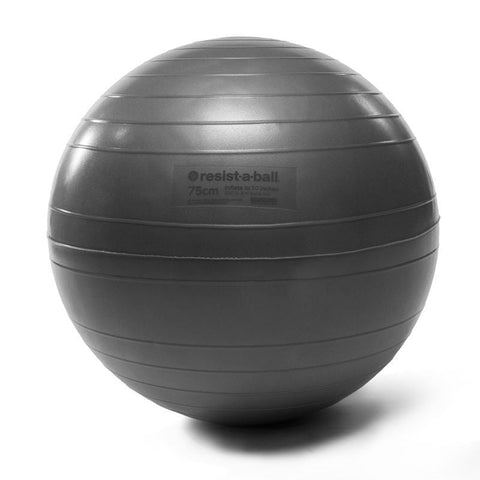 Image of Spinning Resist-A-Ball Silver Exercise Ball - Barbell Flex