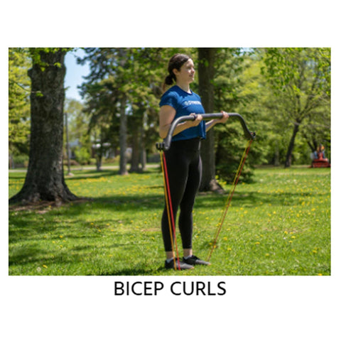 Image of Synergee Portable Resistance Band Bow - Barbell Flex
