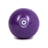 Merrithew Portable Single Toning Ball - Barbell Flex