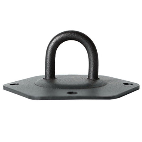 Image of Stroops Hex Plate With Single Ring Connection Point Wall Mount Anchor - Barbell Flex