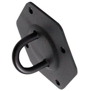Stroops Hex Plate With Single Ring Connection Point Wall Mount Anchor - Barbell Flex