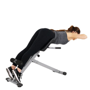 Sunny Health & Fitness 45 Degree Hyperextension Roman Chair - Barbell Flex